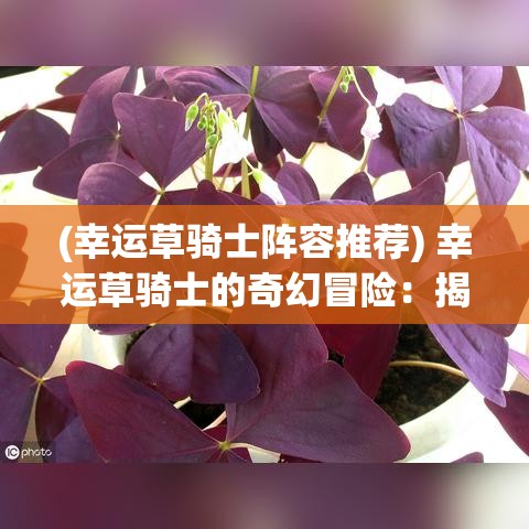 (幸运草骑士阵容推荐) 幸运草骑士的奇幻冒险：揭秘如何在魔法世界中寻找四叶幸运草的神秘力量